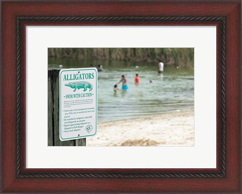 Framed Alligators warning sign at the lakeside, Florida, USA Print