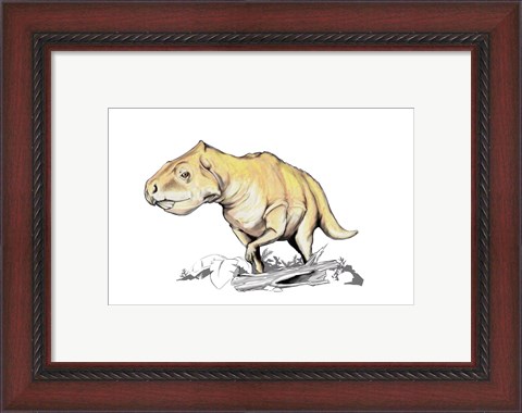Framed Prenoceratops Print