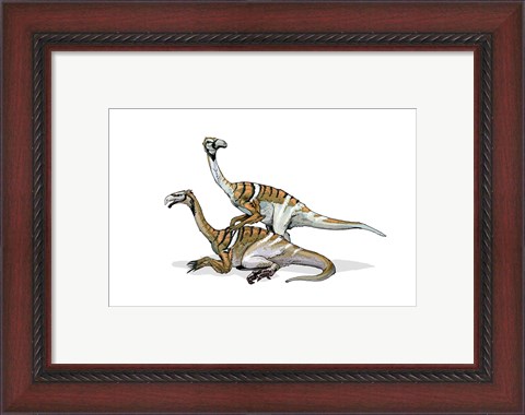Framed Nanshiungosaurus Print