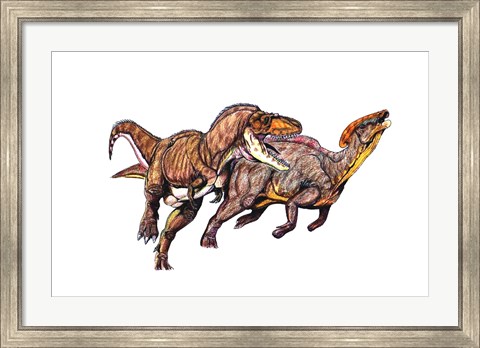 Framed Gorgosaurus Print