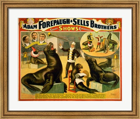 Framed Circus Seals Print
