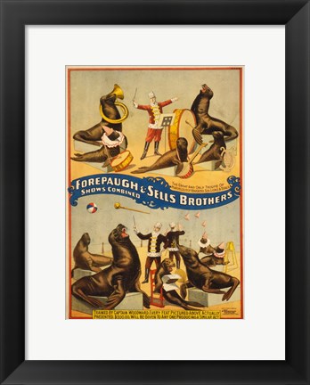 Framed Sells Brothers Sea Lion Circus Print