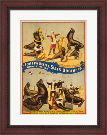 Framed Sells Brothers Sea Lion Circus Print