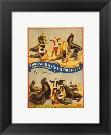 Framed Sells Brothers Sea Lion Circus Print