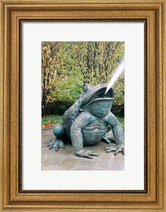 Framed USA, Texas, Dallas, Dallas Arboretum, frog sculpture spitting out water Print