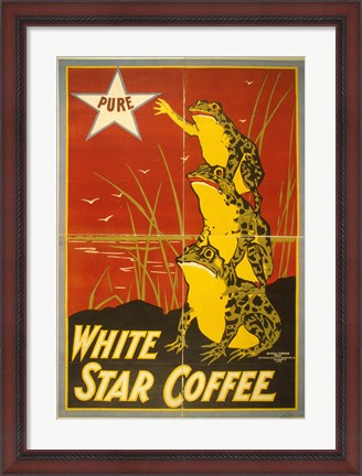 Framed White Star Coffee Frogs Print