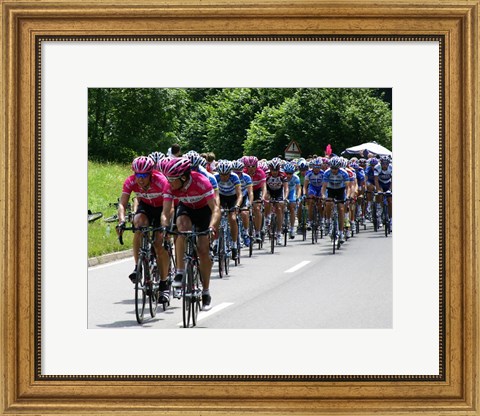 Framed Tour de France 2005 Print