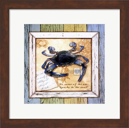 Framed Sea Treasures VII Print