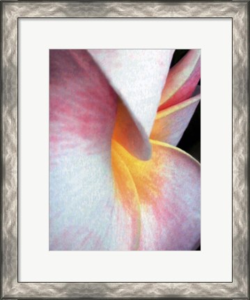 Framed Flowers II Print