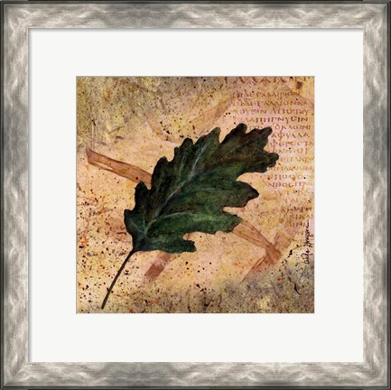 Framed Antiqued Leaves II Print