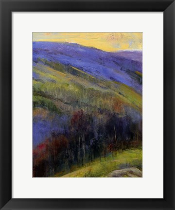 Framed Mountain View IV Print