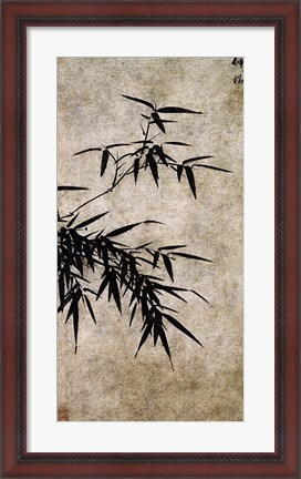 Framed Xia Chang- Ink Bamboo Print