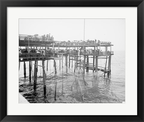 Framed Hauling the Nets, Young&#39;s Pier, Atlantic City, NJ Print