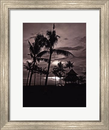 Framed Palms At Night I Print