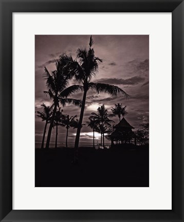 Framed Palms At Night I Print