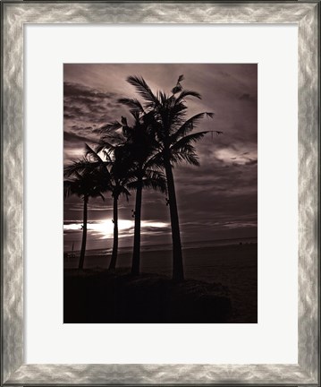 Framed Palms At Night III Print