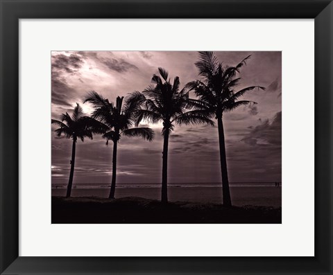 Framed Palms At Night VI Print