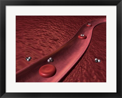 Framed Close-up of red blood cells Print