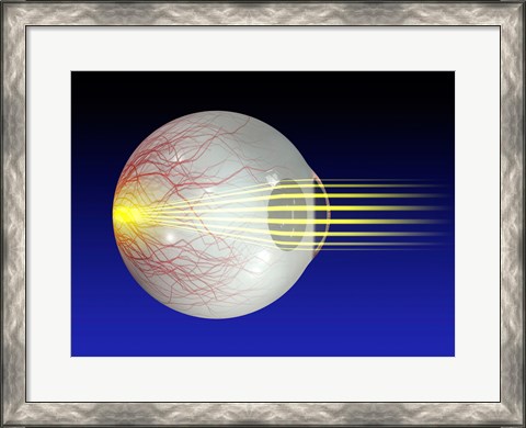 Framed Close-up of the human eyeball Print