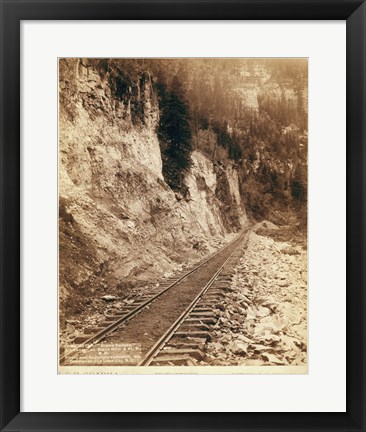 Framed Grand Canyon Elk Canyon on Black Hills Print