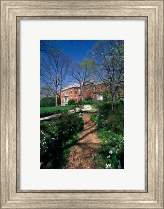 Framed Trees in a garden, Dumbarton Oaks House, Georgetown, Washington DC, USA Print