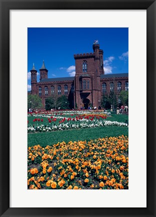 Framed Formal garden in front of a museum, Smithsonian Institution, Washington DC, USA Print