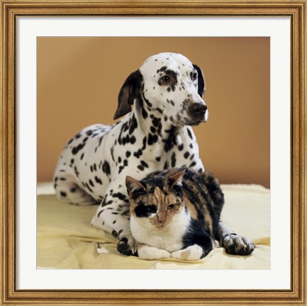 Framed Dalmatian and Cat Print