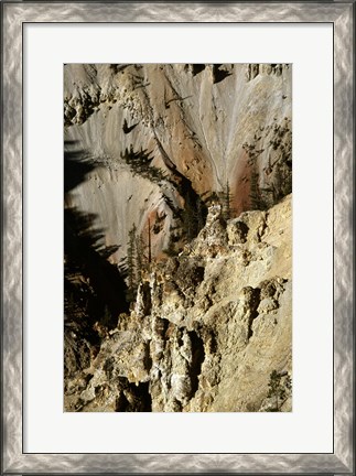 Framed Grand Canyon of the Yellowstone River Yellowstone National Park Wyoming USA Print