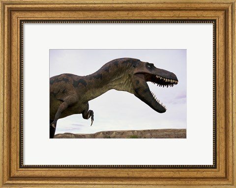 Framed Tyrannosaurus Rex, Royal Tyrrell Museum, Drumheller, Alberta, Canada Print