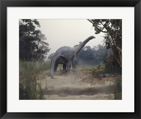 Framed Rear view of an alamosaurus walking in a forest Print