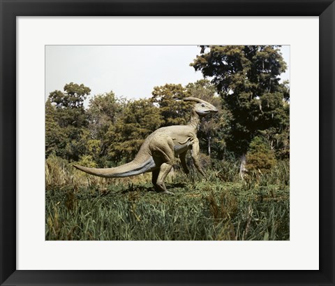 Framed Side profile of a parasaurolophus walking in a forest Print