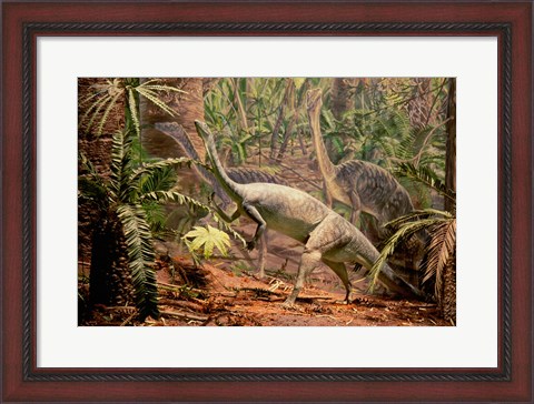 Framed Anchisaurus Dinosaur State Park Connecticut, USA Print