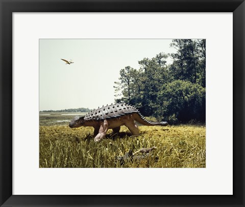 Framed Ankylosaur walking in a field and a pteranodon flying in the sky Print
