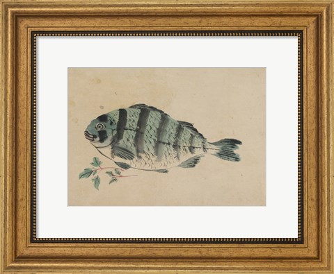 Framed Fish Print