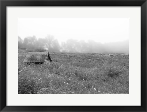 Framed In the Fog Print