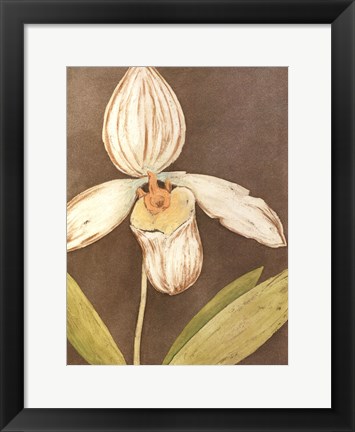 Framed Orchid &amp; Earth III Print