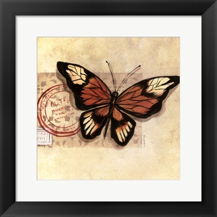 Framed Le Papillon III Print