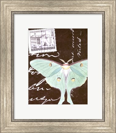 Framed Le Papillon Script I Print