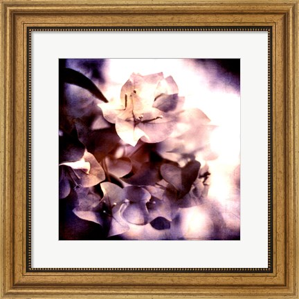 Framed Purple Dusk I Print