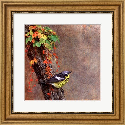 Framed Magnolia Warbler Print