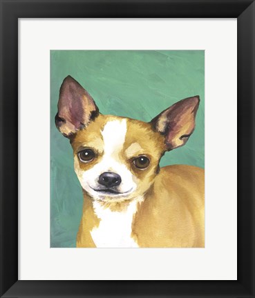 Framed Dog Portrait-Chihuahua Print