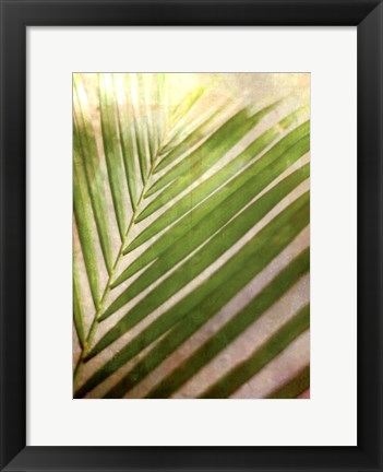 Framed Elegant Frond II Print