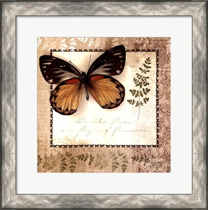 Framed Butterfly Notes V Print