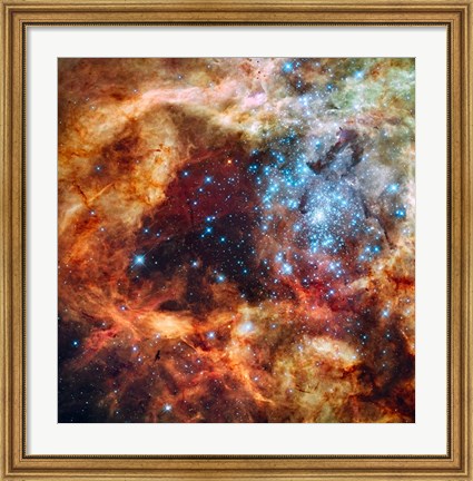 Framed Hubble Space Telescope image of the R136 Super Star Cluster Print