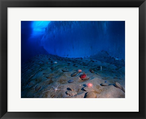 Framed Ice Wall and the Ocean Floor at Explorer&#39;s Cover Print