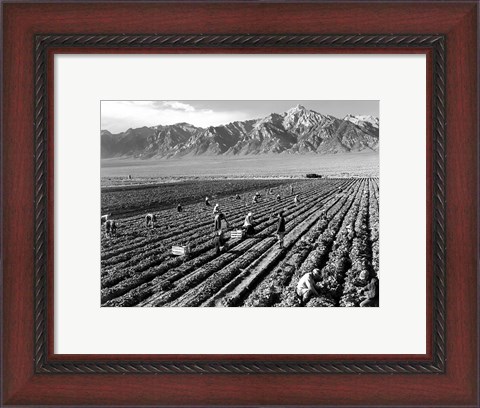 Framed Farm Workers and Mt. Williamson Print