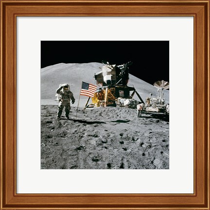 Framed Apollo 15 Lunar Module Pilot James Irwin Salutes the U.S. Flag Print