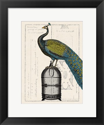 Framed Peacock Birdcage II Print