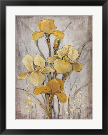 Framed Golden Irises I Print