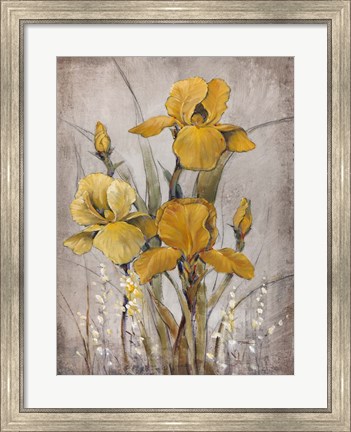 Framed Golden Irises II Print